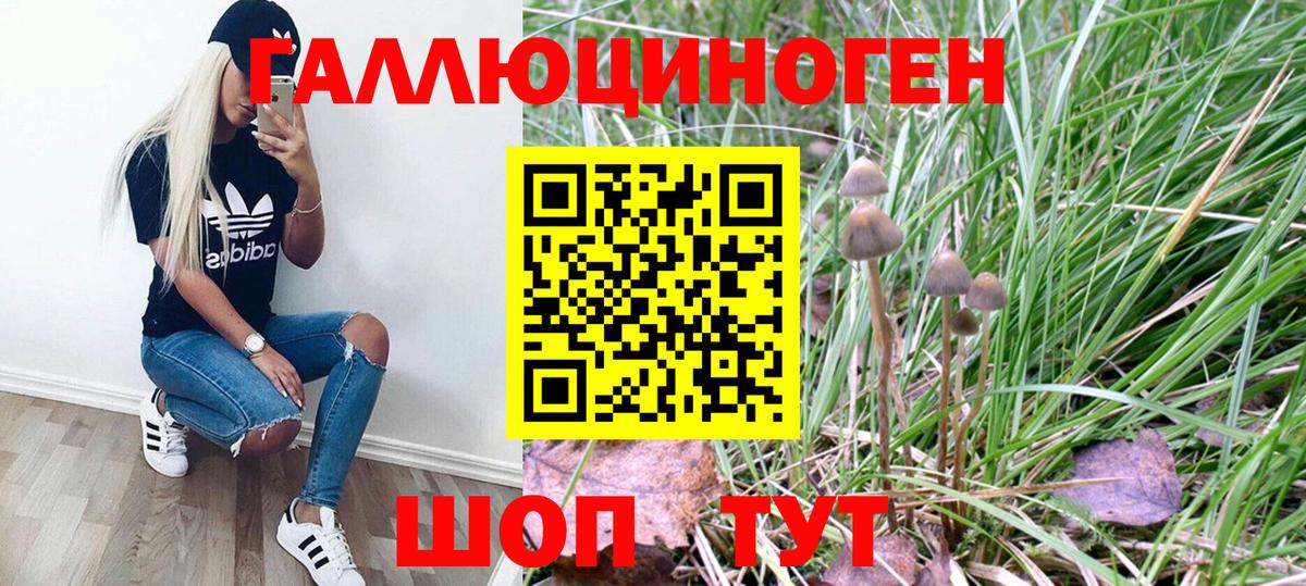 Псилоцибиновые грибы GOLDEN TEACHER Сердобск